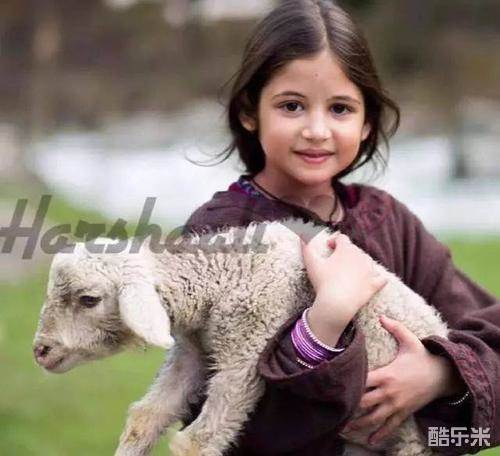 哈尔莎莉·马尔霍特拉