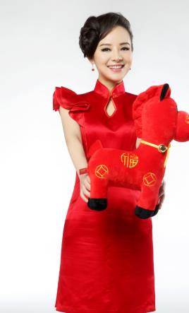 刘赛