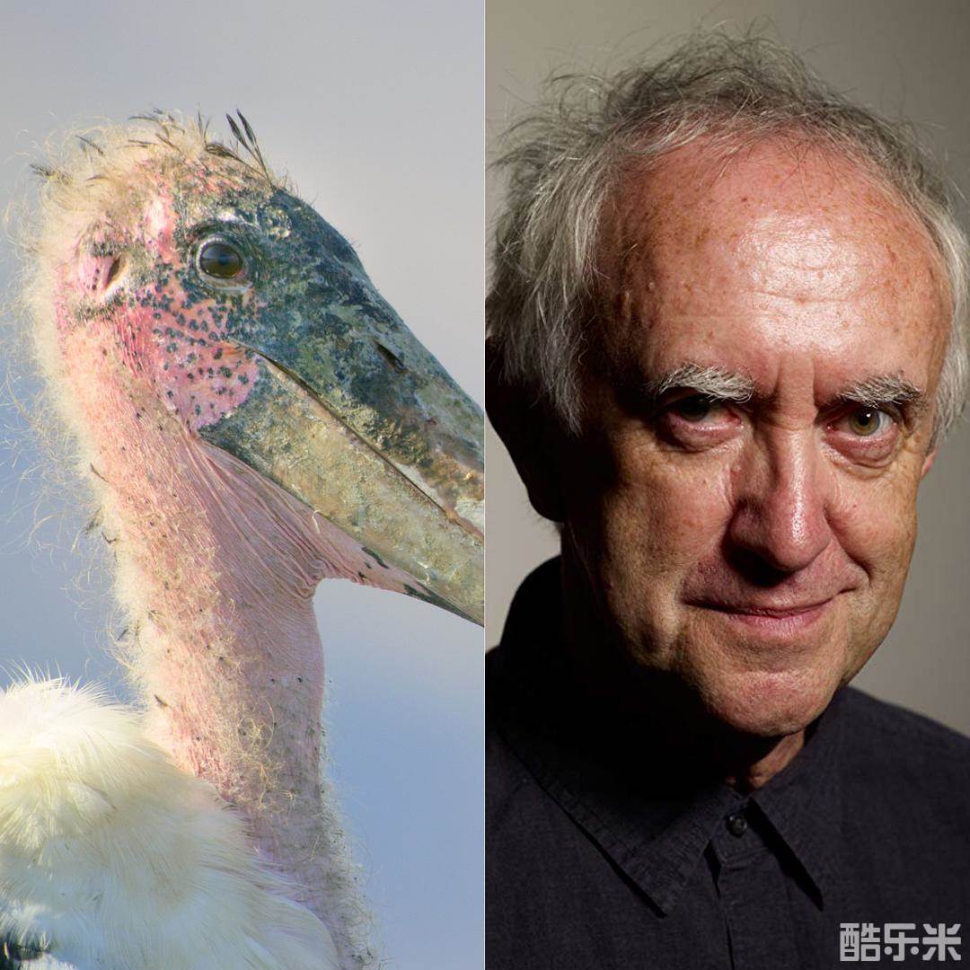 乔纳森·普赖斯