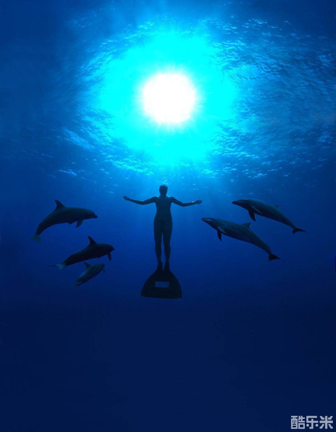 海豚湾