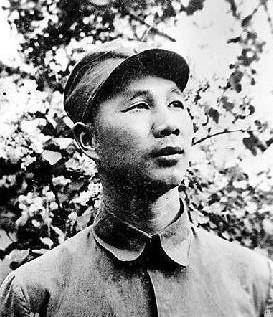 杨成武