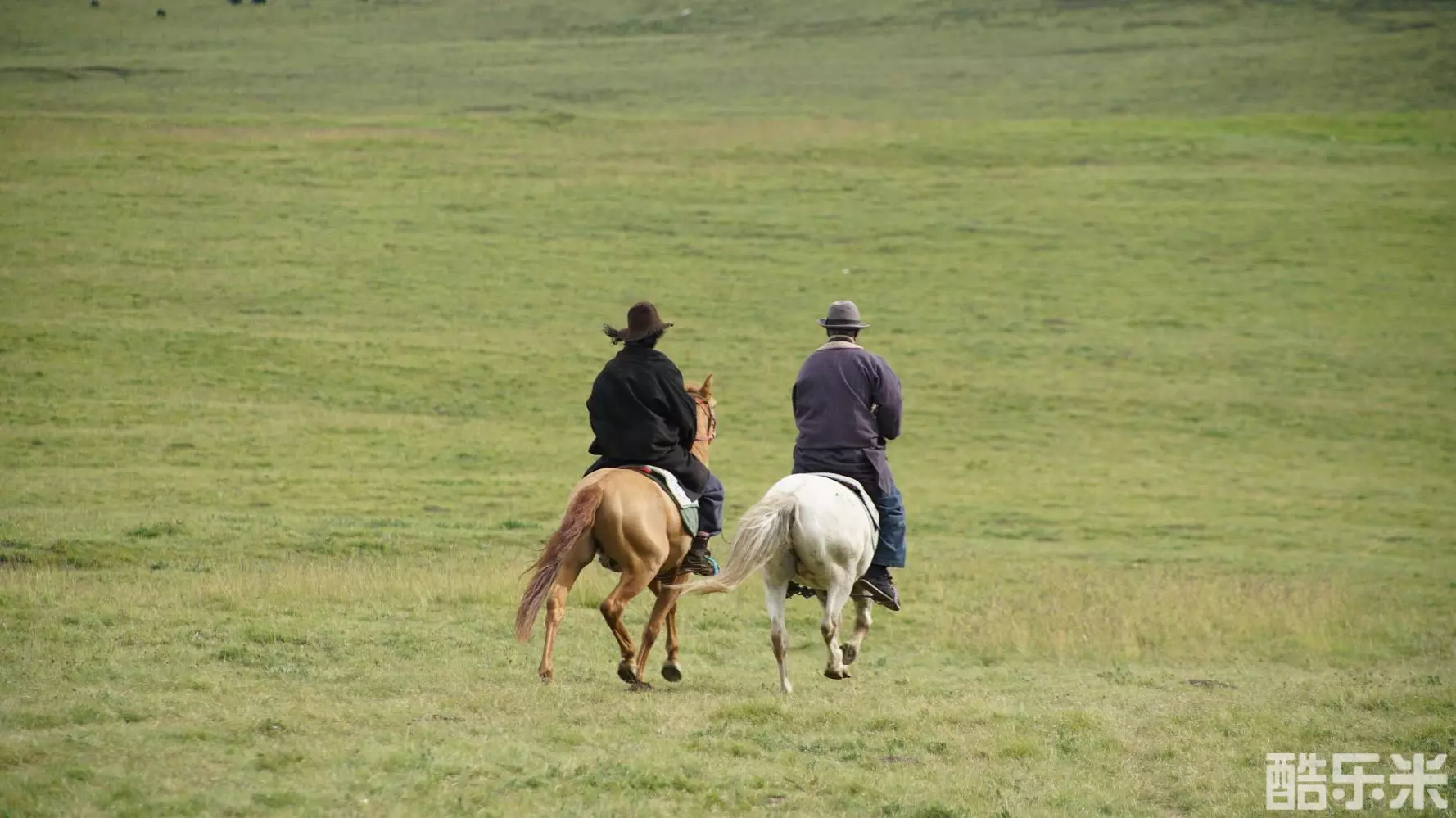 牧民省长尕布龙