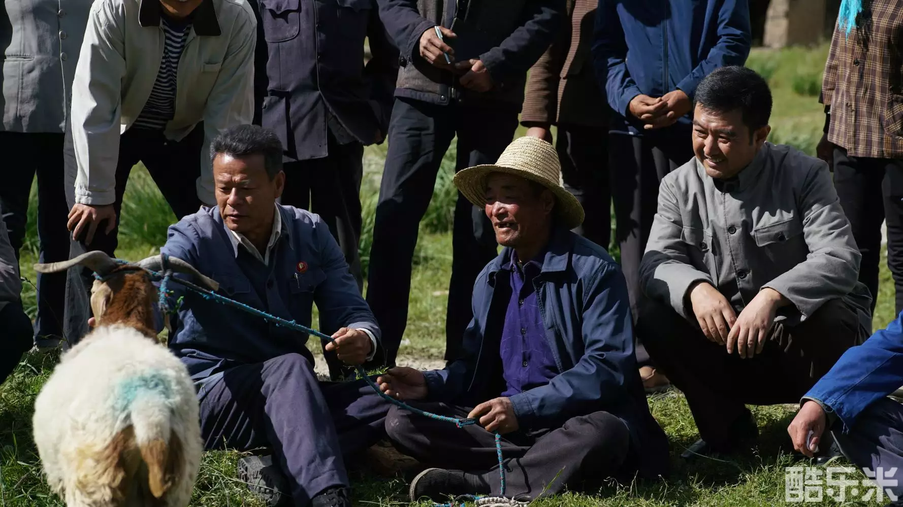 牧民省长尕布龙