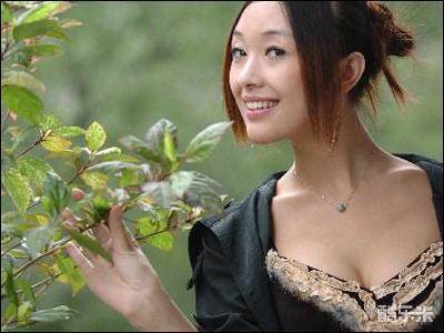 陈莉莉