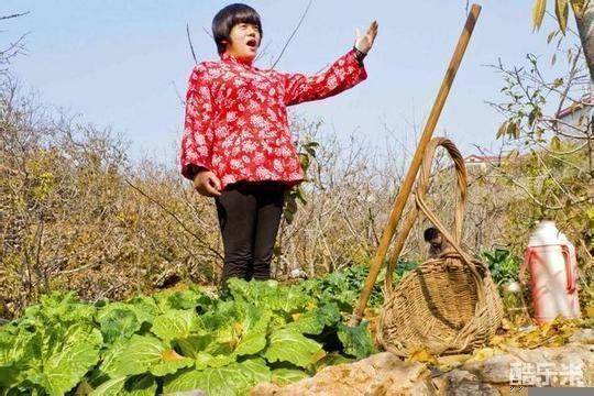 张月乔