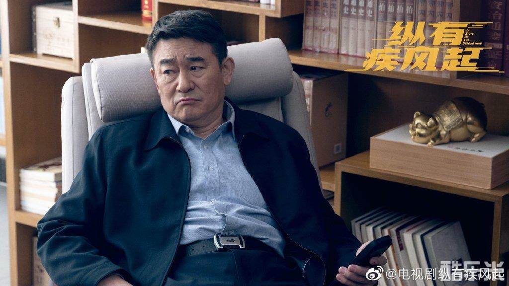 纵有疾风起