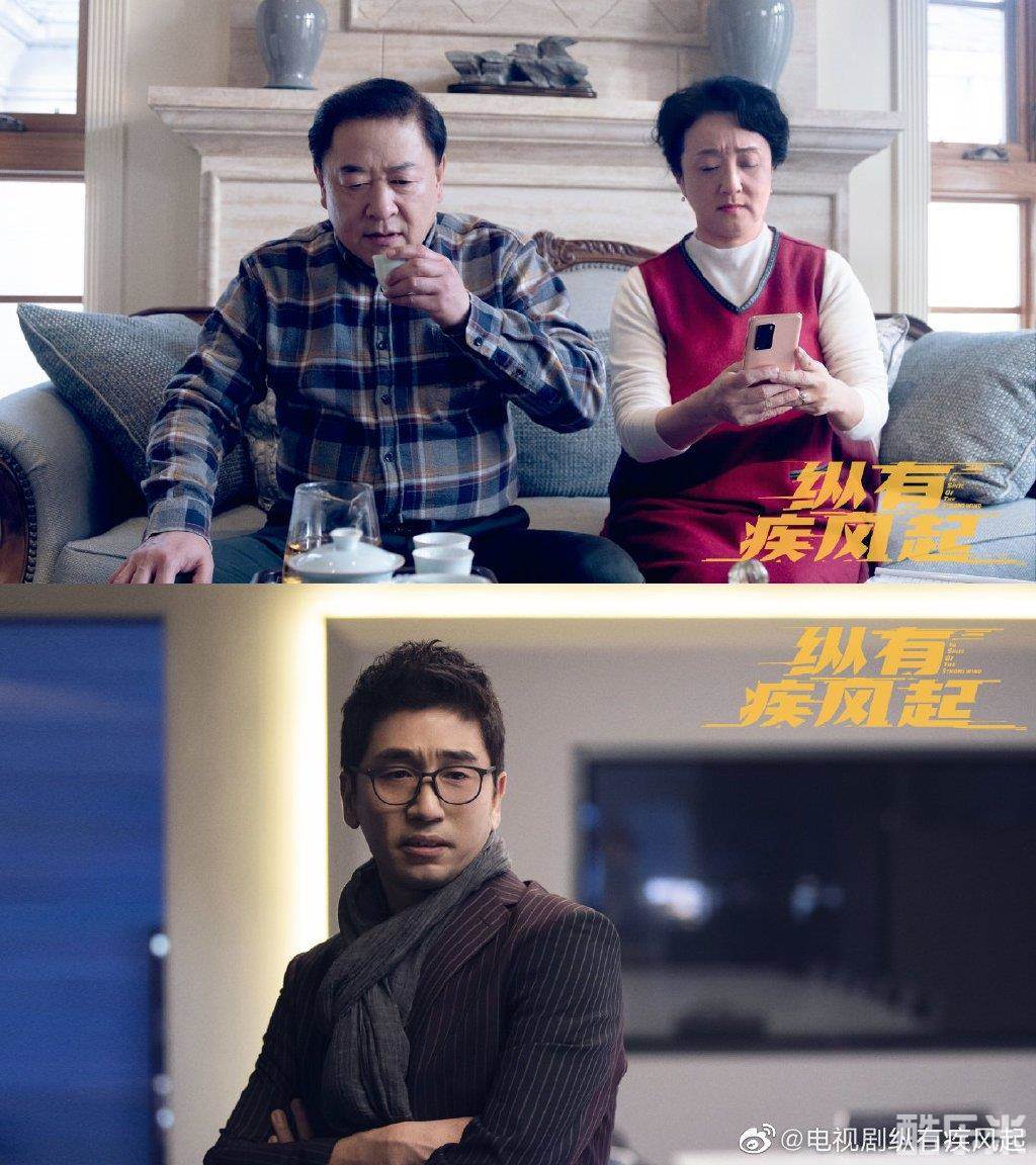 纵有疾风起