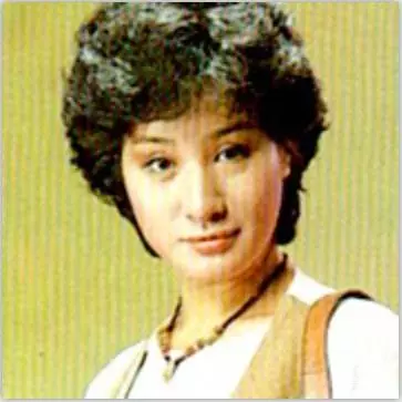 杨丽花
