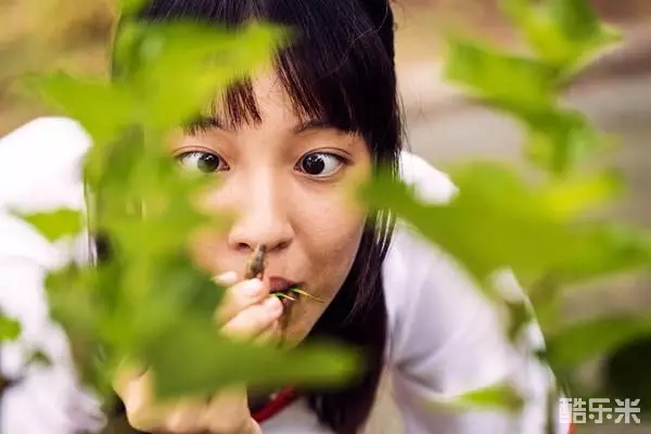 王渝萱