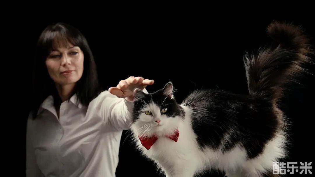 喵星人的奇思妙想