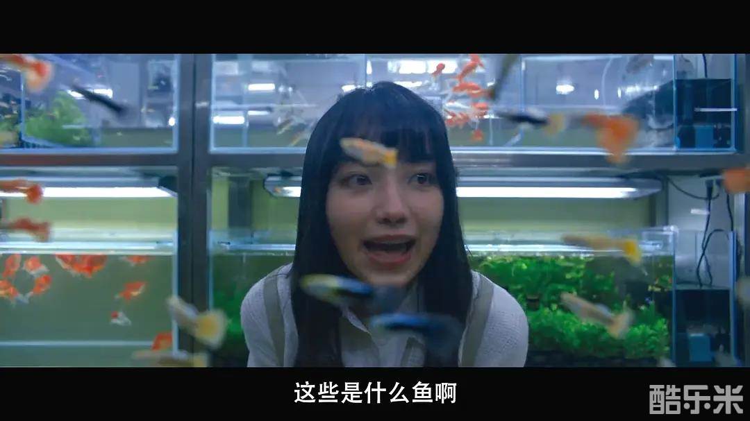 初恋慢半拍