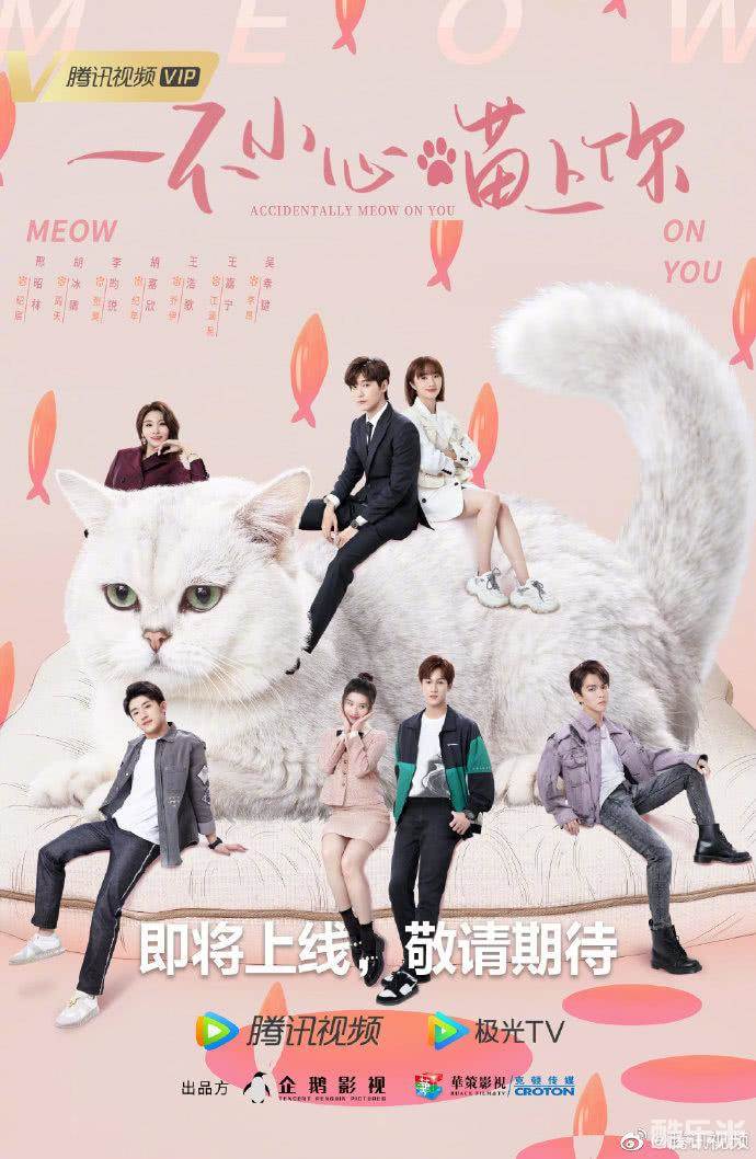 一不小心喵上你