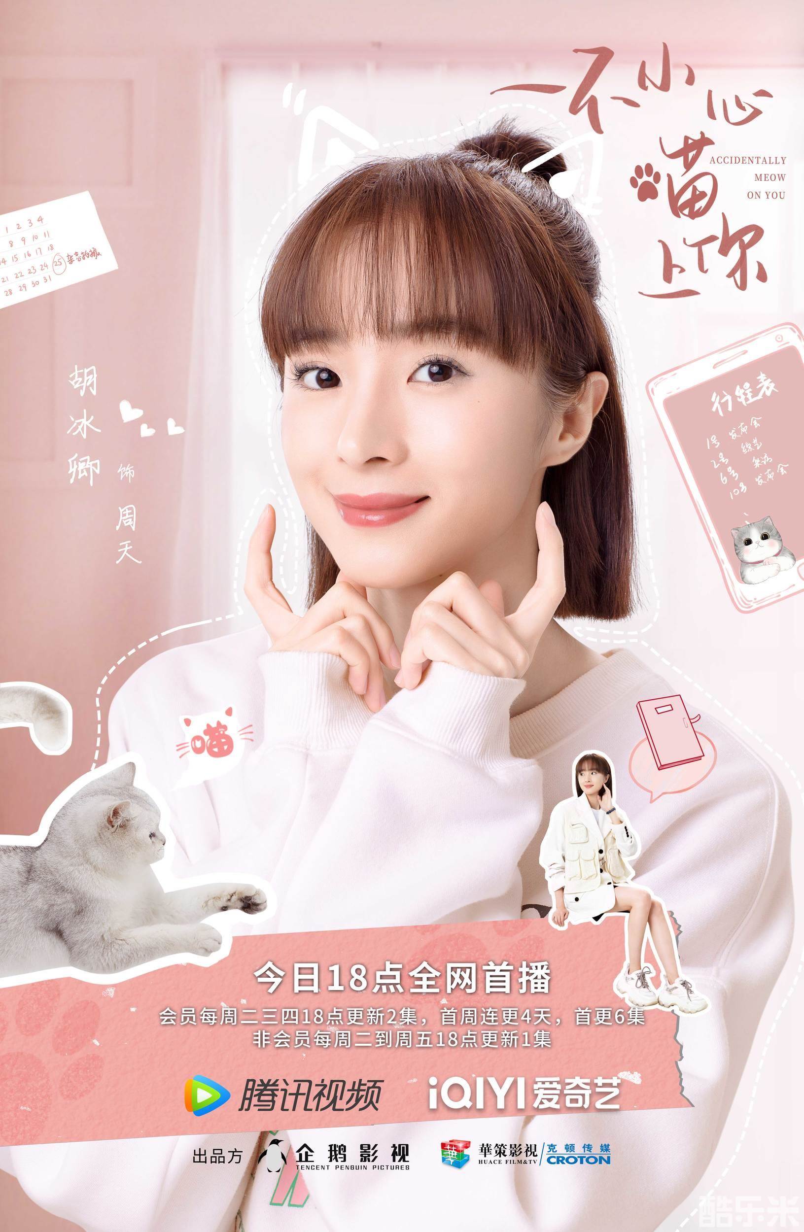 一不小心喵上你