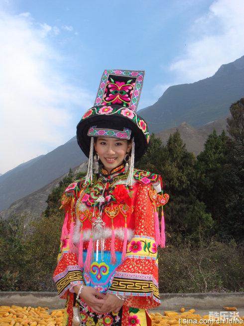 芦菲