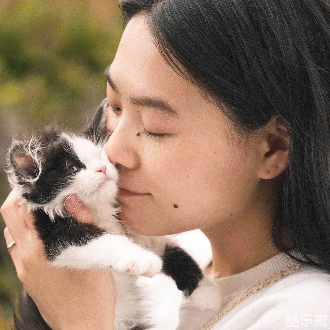 猫猫逃走了