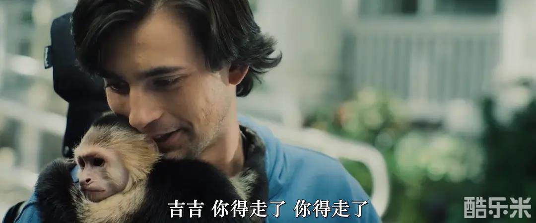吉吉和内特