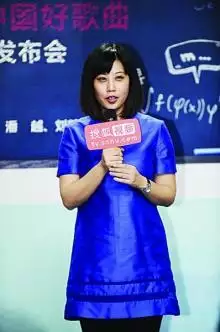 九夜茴