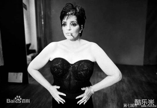 丽莎·明尼里