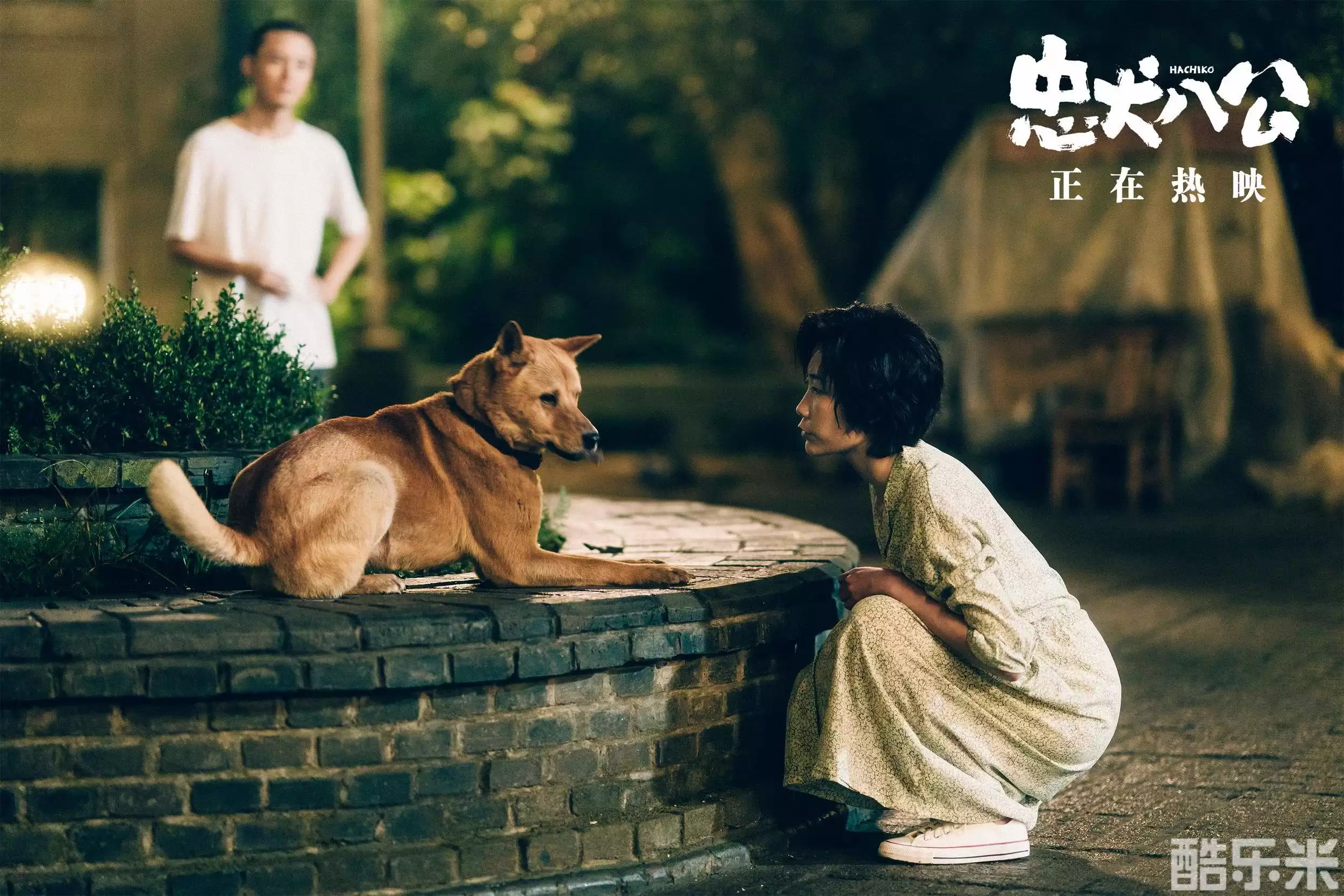 忠犬八公