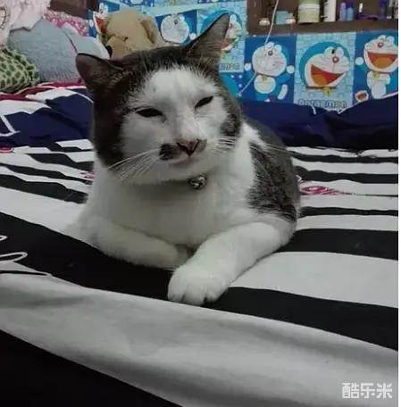 新西游记 第二季