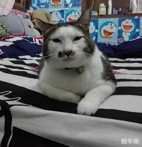 新西游记 第二季