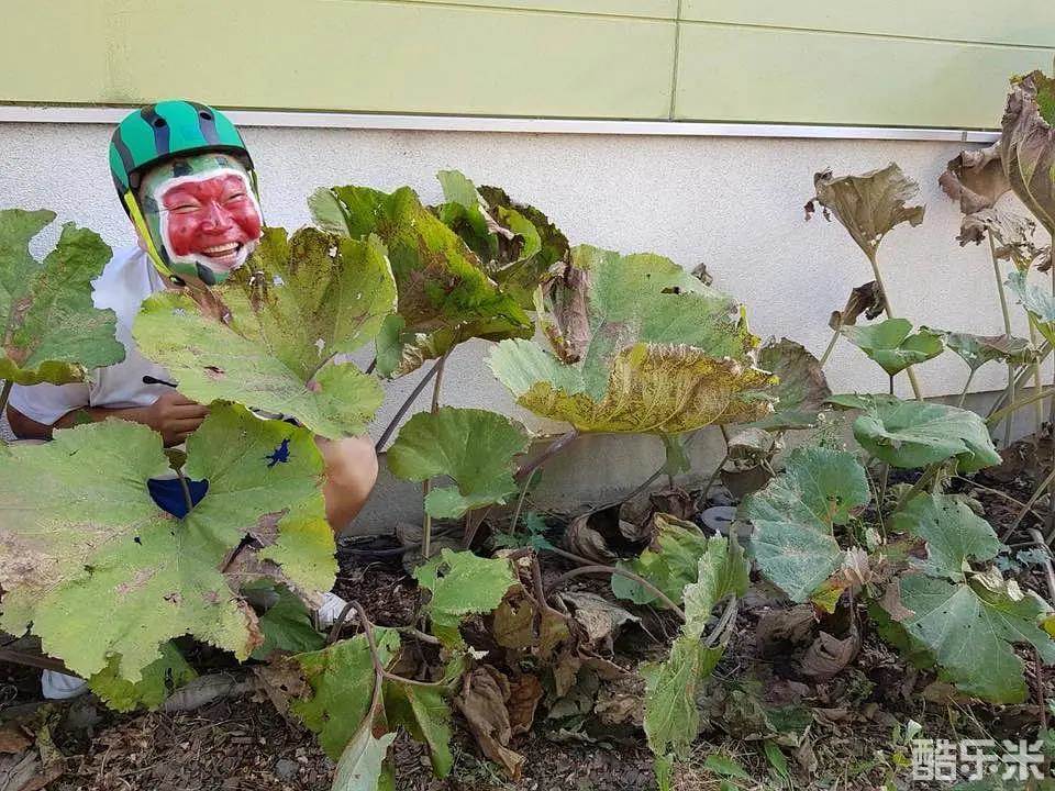 新西游记 第六季