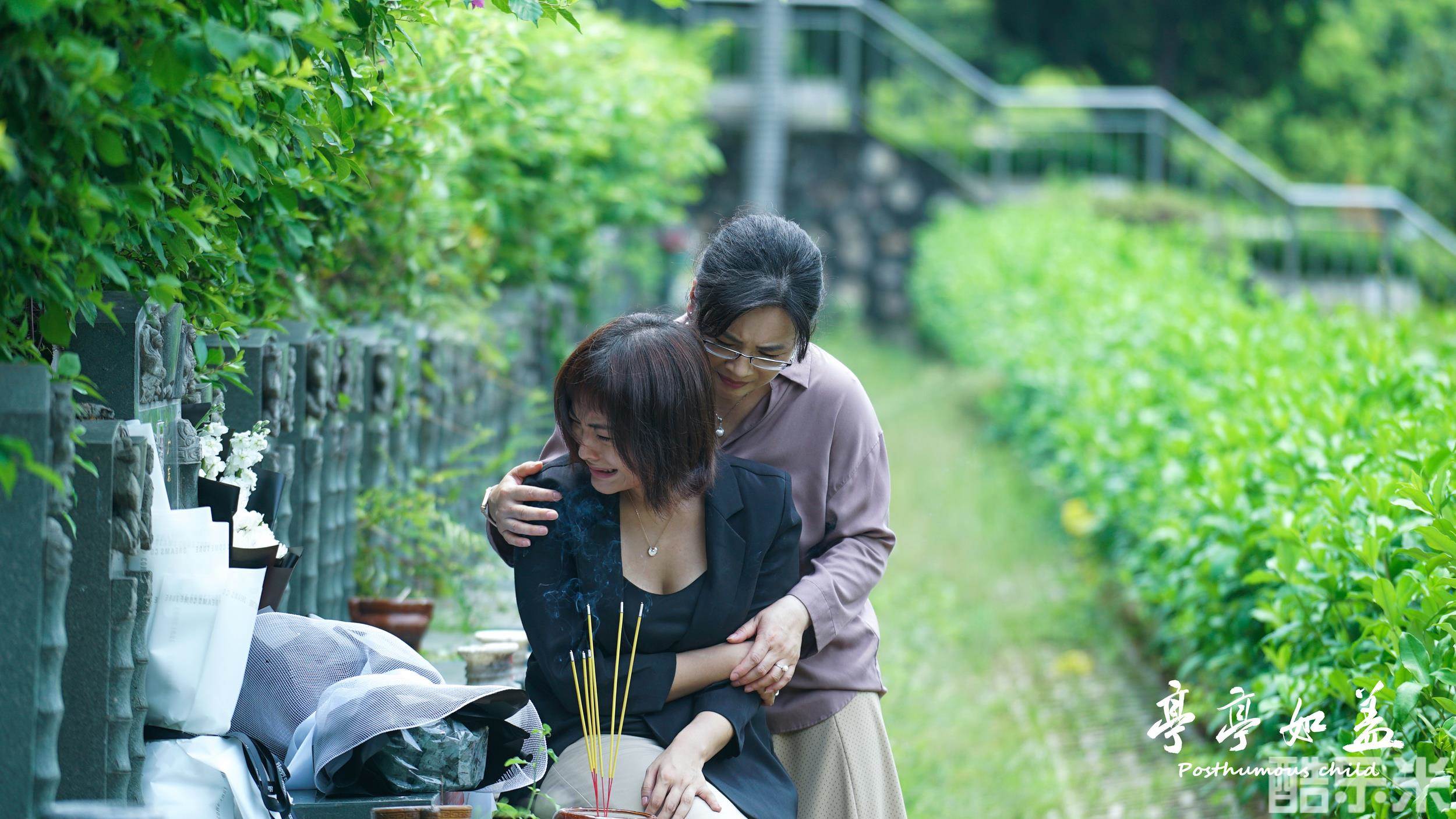 亭亭如盖