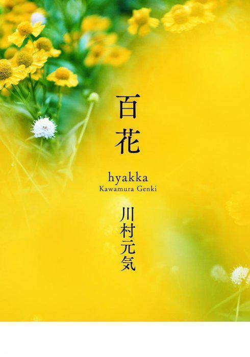 我和妈妈的最后一年