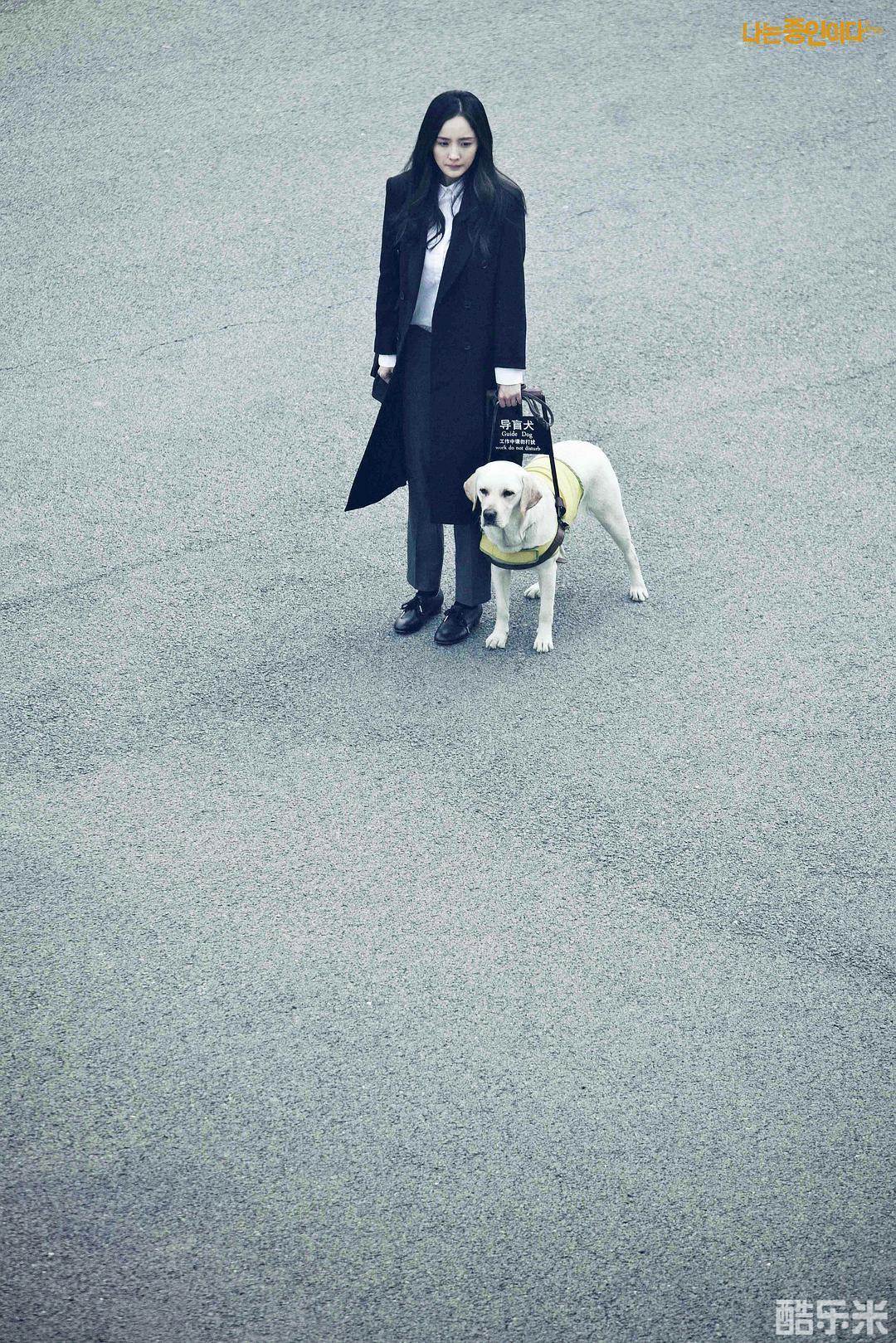 我是证人