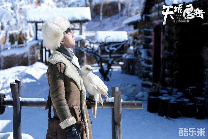 天坑鹰猎