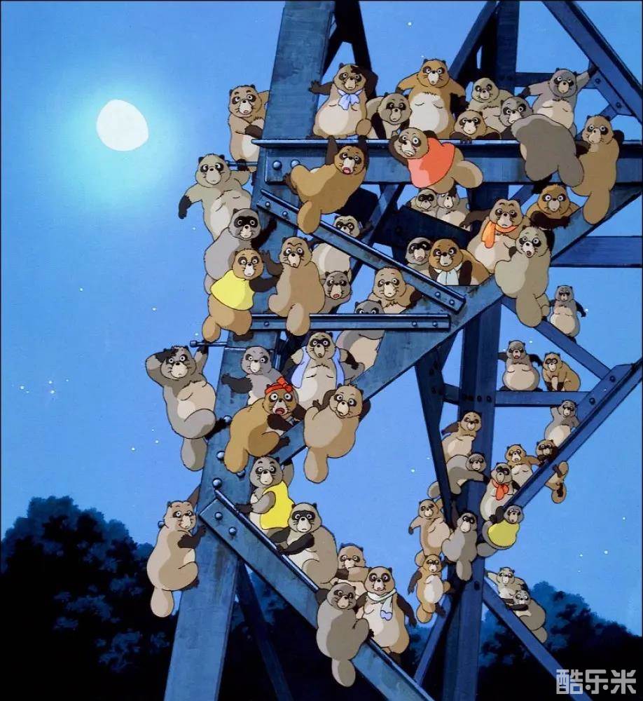 百变狸猫