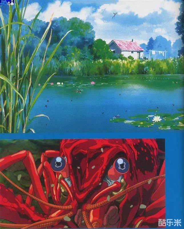 水蜘蛛萌萌