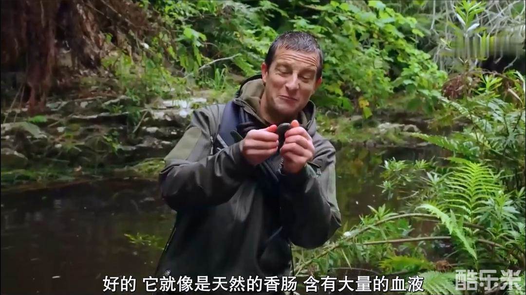 贝尔·格里尔斯
