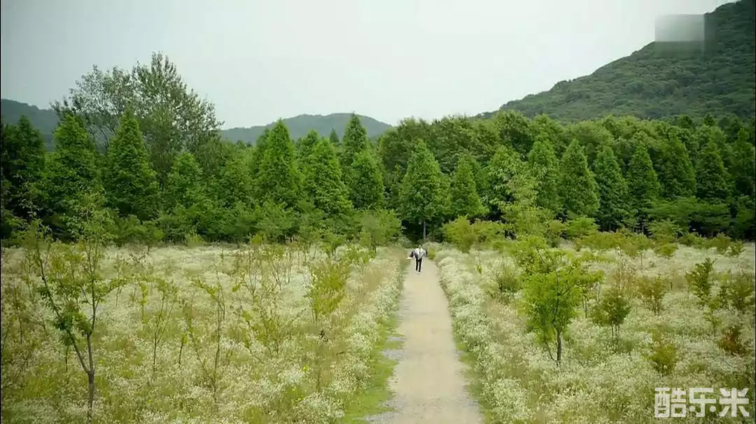 没关系，是爱情啊
