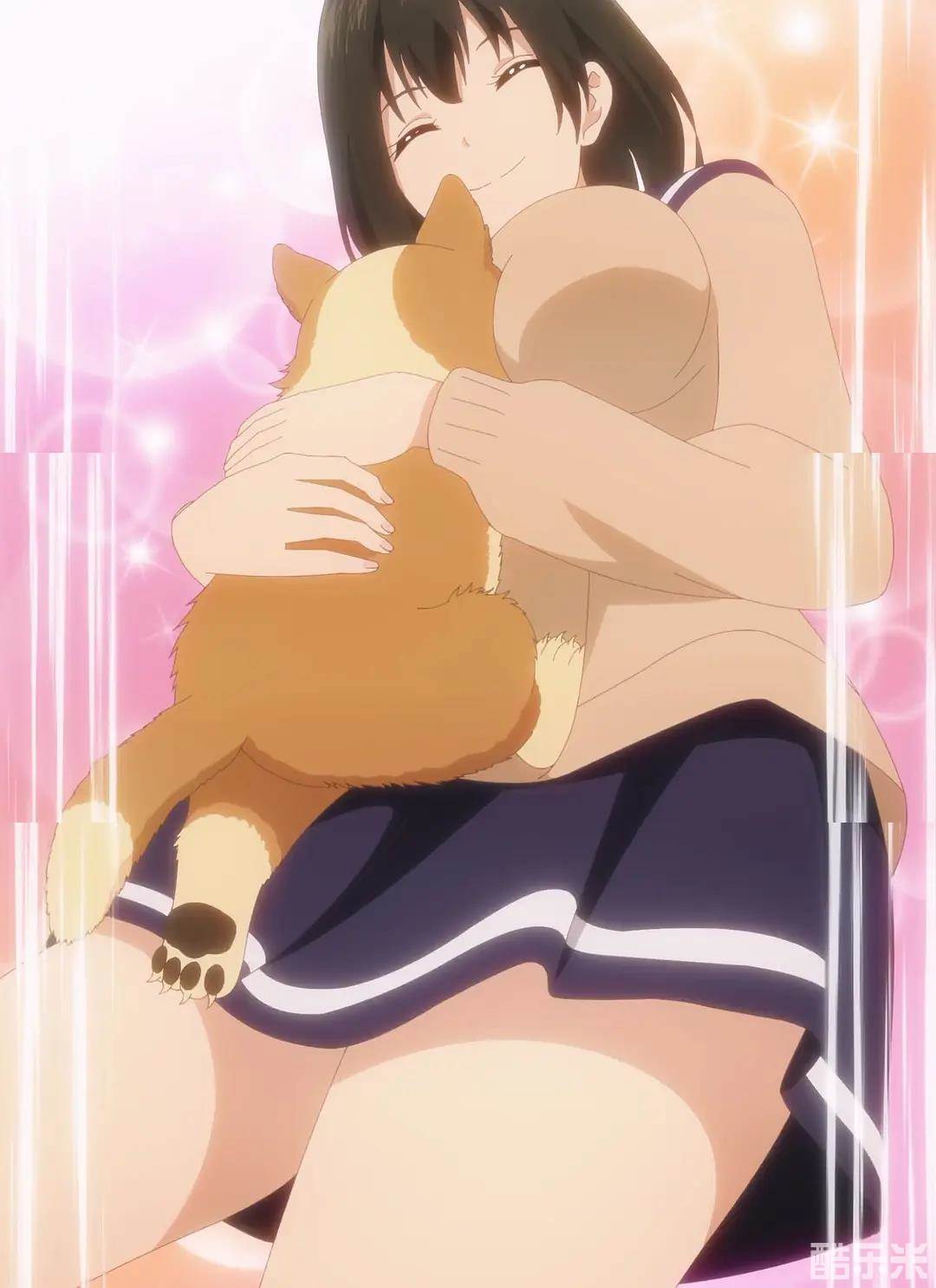 生而为狗 我很幸福