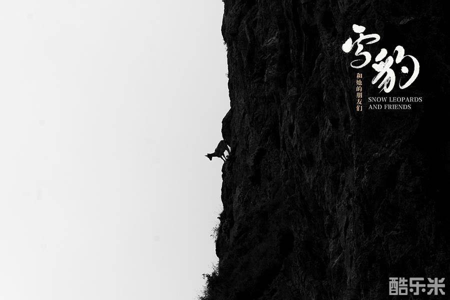 雪豹和她的朋友们