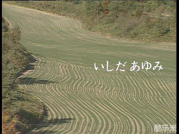 北国之恋