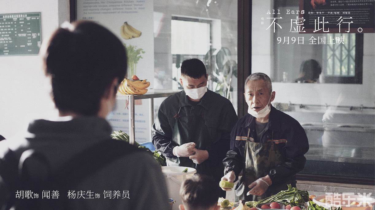 不虚此行