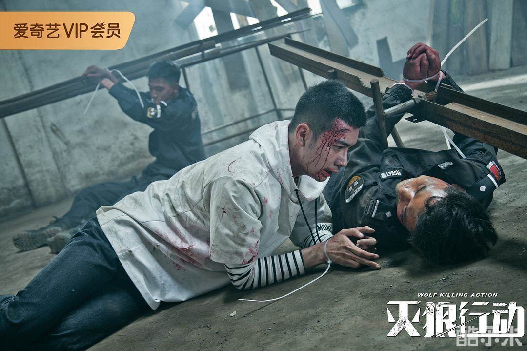 灭狼行动