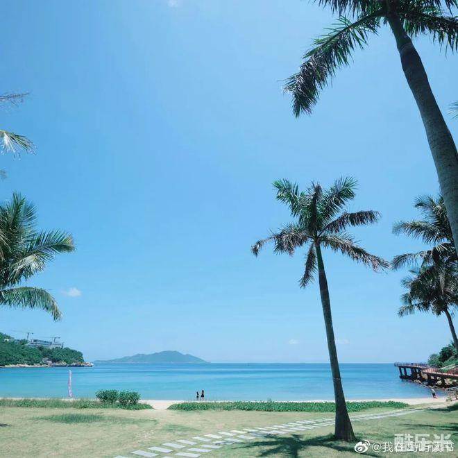 我在岛屿读书