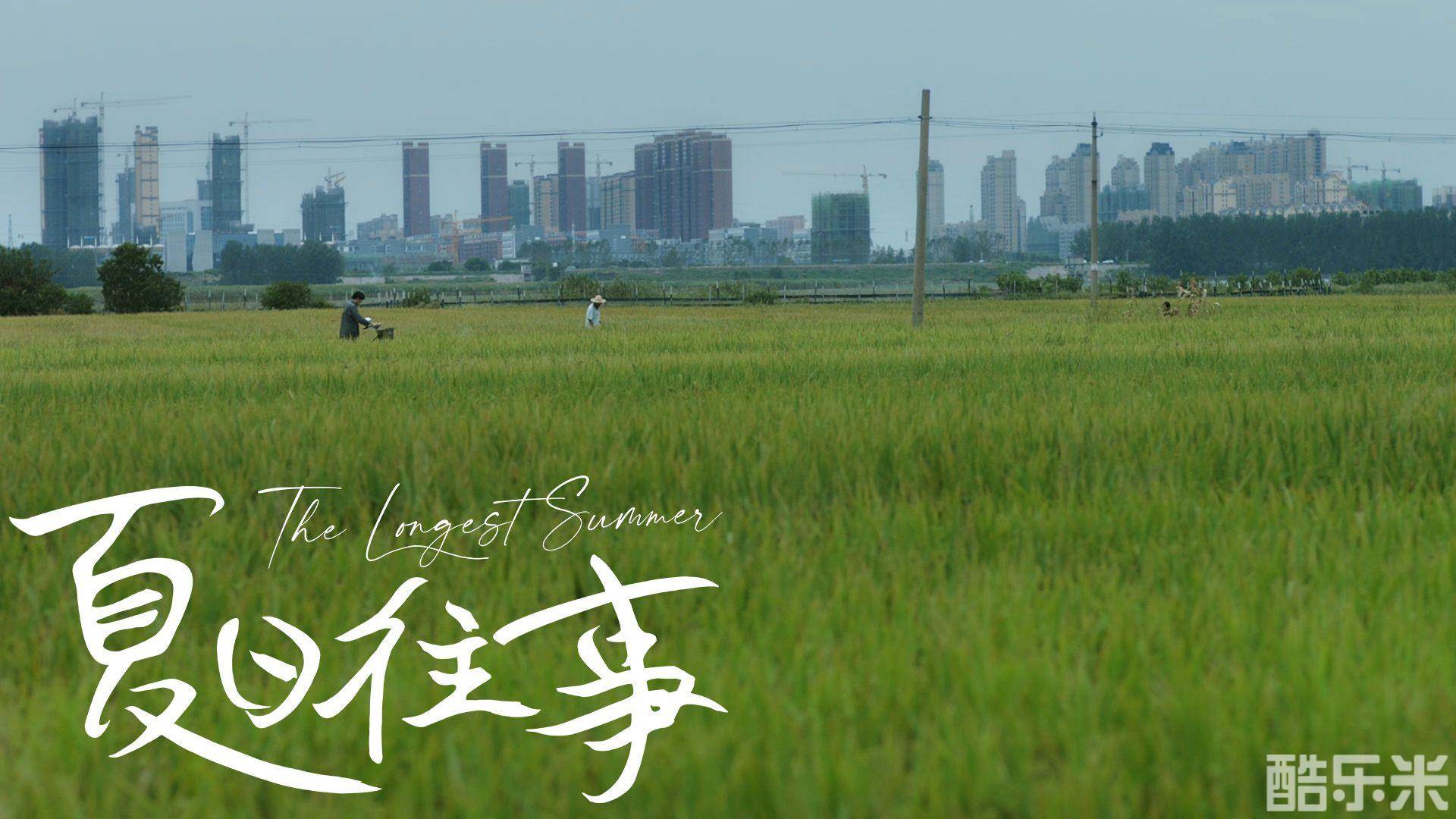 夏日往事