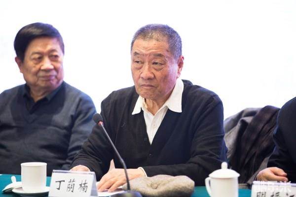 丁荫楠