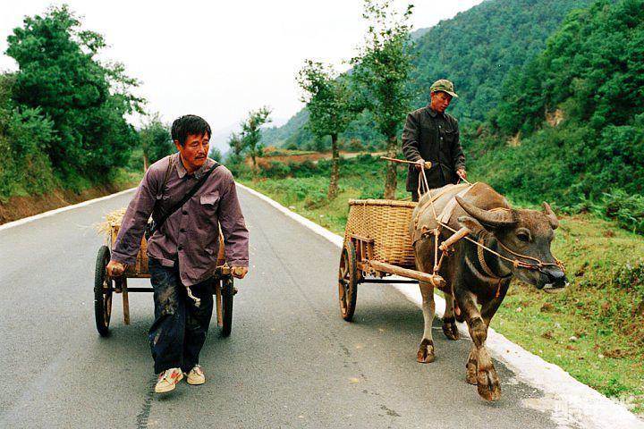 落叶归根