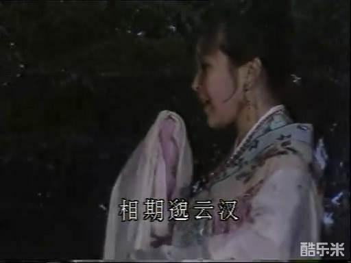 解蕾