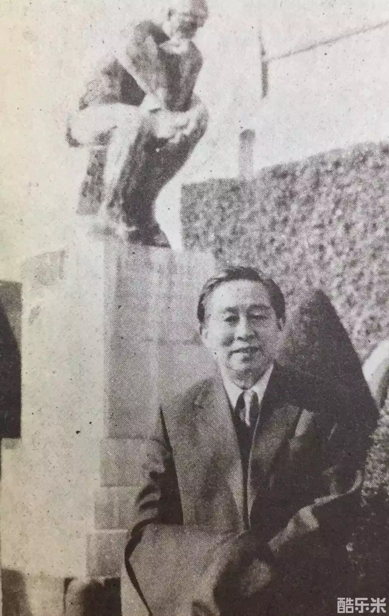 桑弧