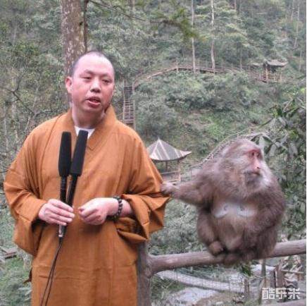 释延参