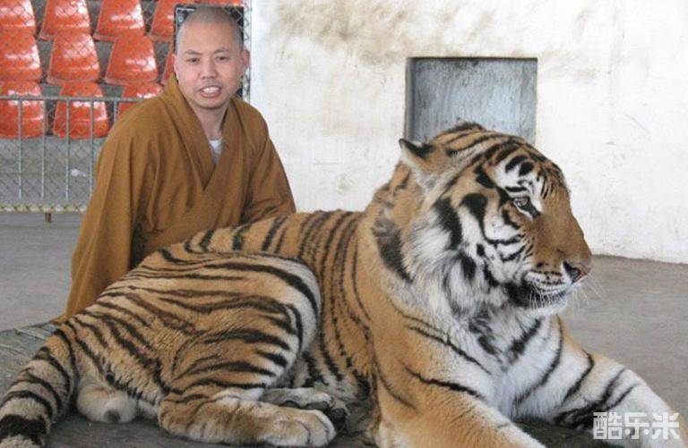 释延参