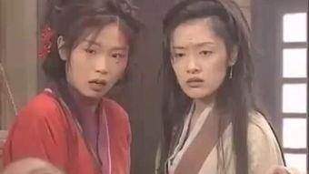 真假东宫