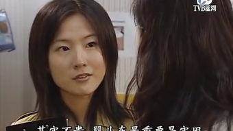 缉私群英