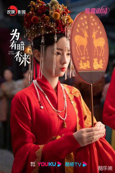 为有暗香来